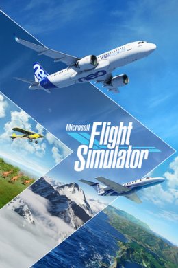 Microsoft Flight Simulator