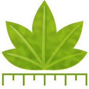 Digimizer 6.3.0