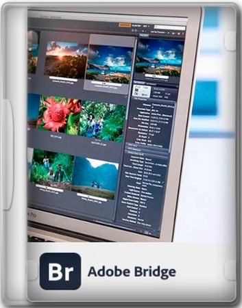 Редактор цифровых изображений Adobe Bridge 2025 15.0.1.412 RePack by KpoJIuK