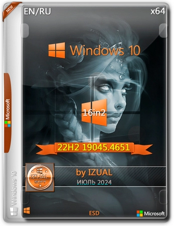 Windows 10 22h2 19045.4651 16in2 (x64) by IZUAL