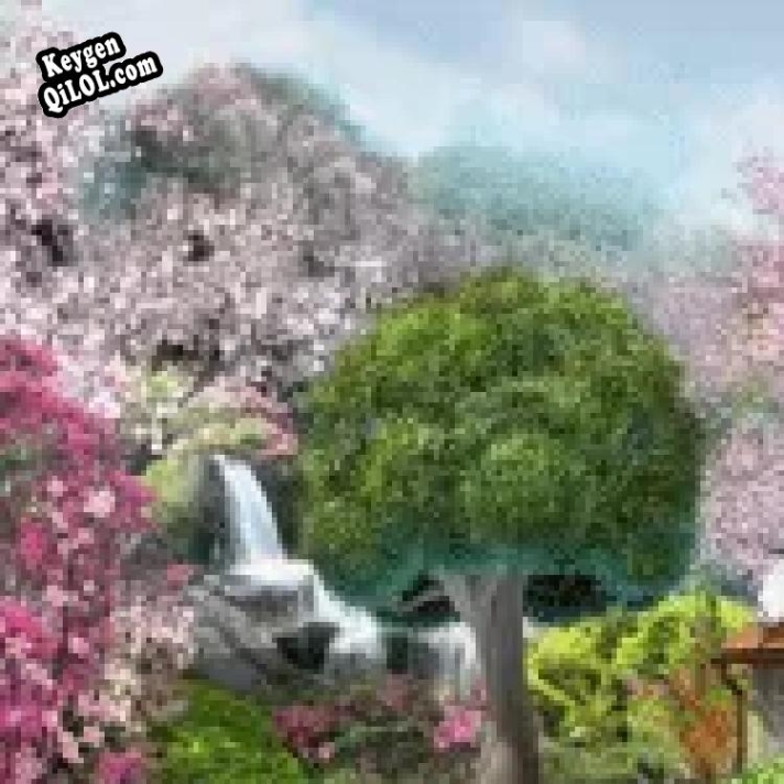 Аламанди ключ активации