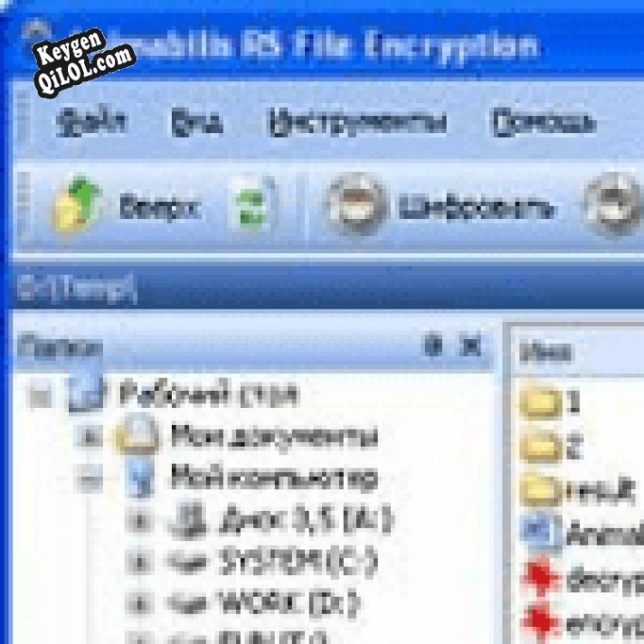 Ключ для Animabilis RS File Encryption