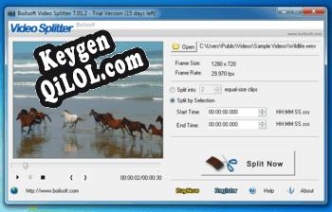 Boilsoft Video Splitter ключ активации