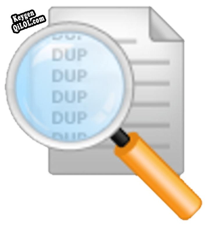 Dupli Find ключ активации