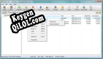 Express Zip Plus генератор серийного номера