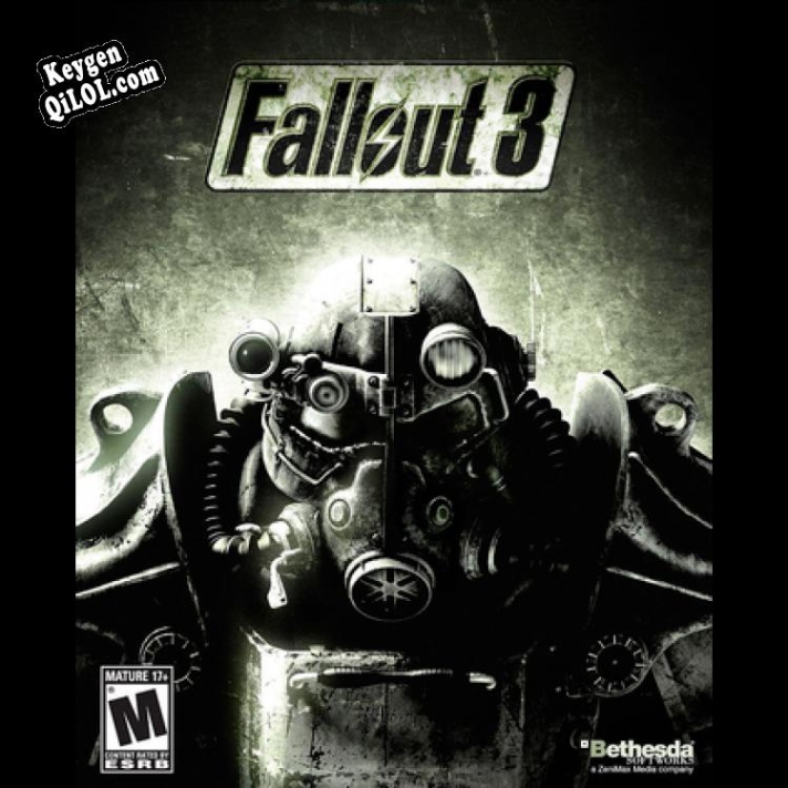 Fallout 3 ключ активации