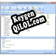 FTP Explorer генератор ключей