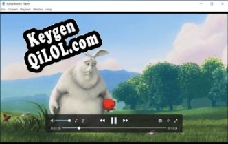 iFunia Media Player генератор серийного номера