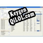 Internet Access Monitor for Novell BorderManager Key генератор