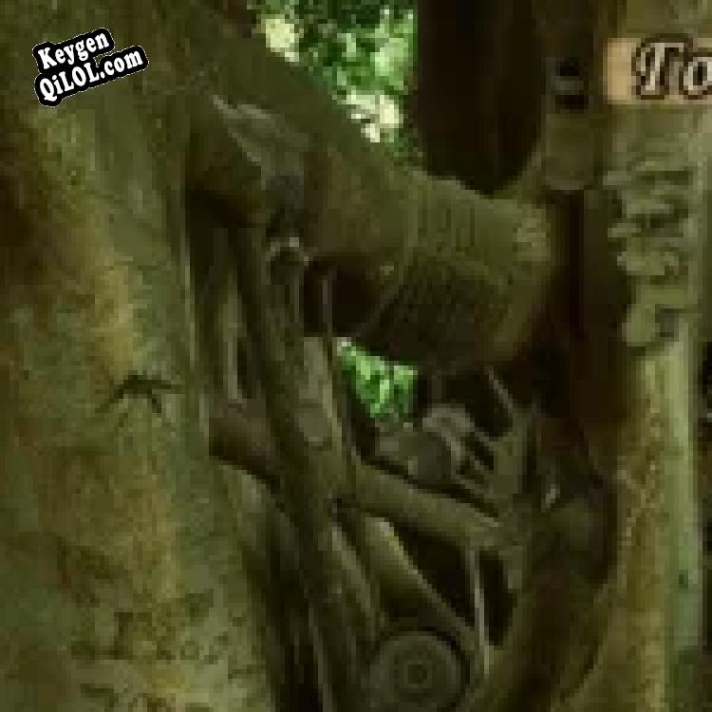 Ключ активации для Камень судьбы