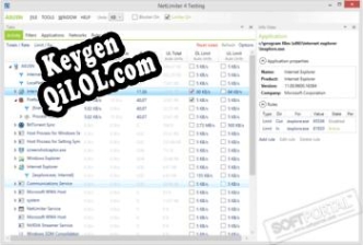 Ключ активации для NetLimiter Pro