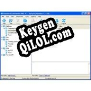 Ключ для Password Commander Pro
