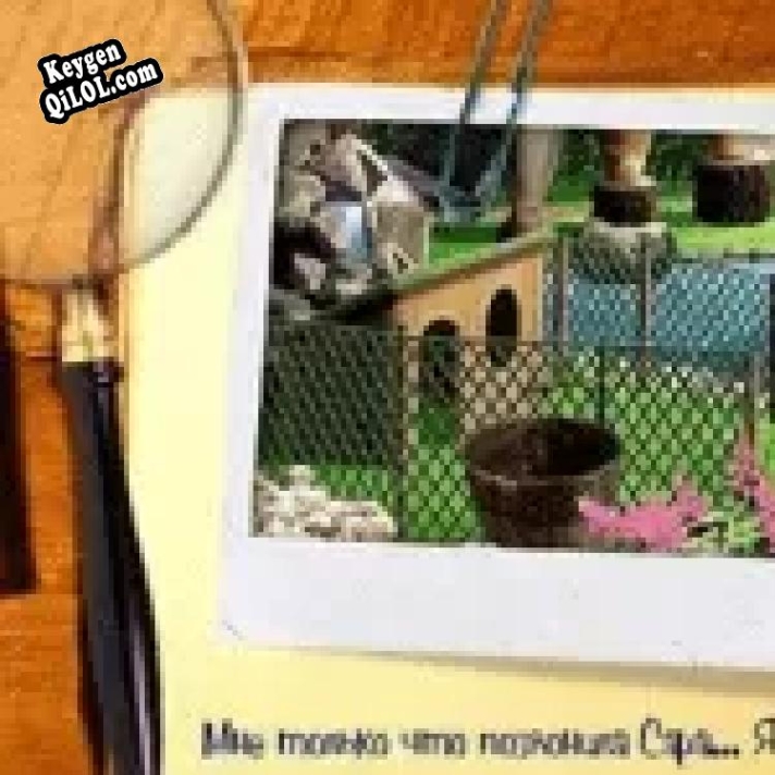 Ключ для Помощники для зверюшек