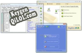 RegRun Security Suite ключ активации