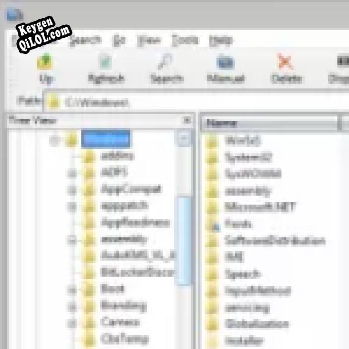 Ключ активации для SizeExplorer Pro