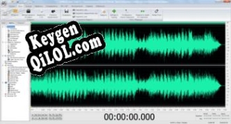 Генератор ключей (keygen)  Soft4Boost Audio Studio