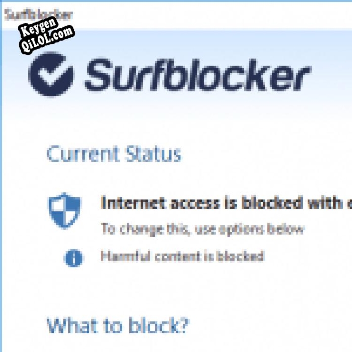 Регистрационный ключ к программе  Surfblocker