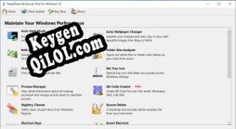 TweakNow WinSecret Plus Key генератор