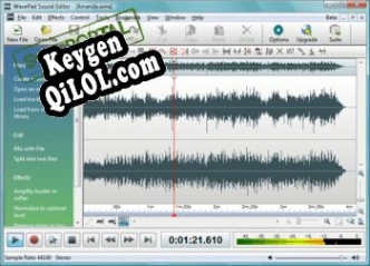 Генератор ключей (keygen)  WavePad