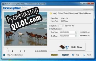 Русификатор для Boilsoft Video Splitter